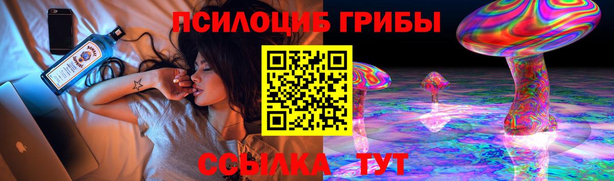 Галлюциногенные грибы мухоморы Каменка